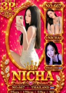 Picture of NICHA